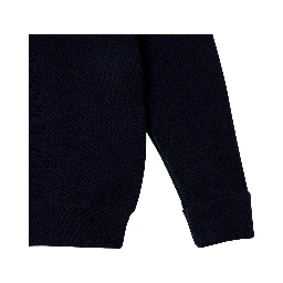 Lacoste Sweaters Blue