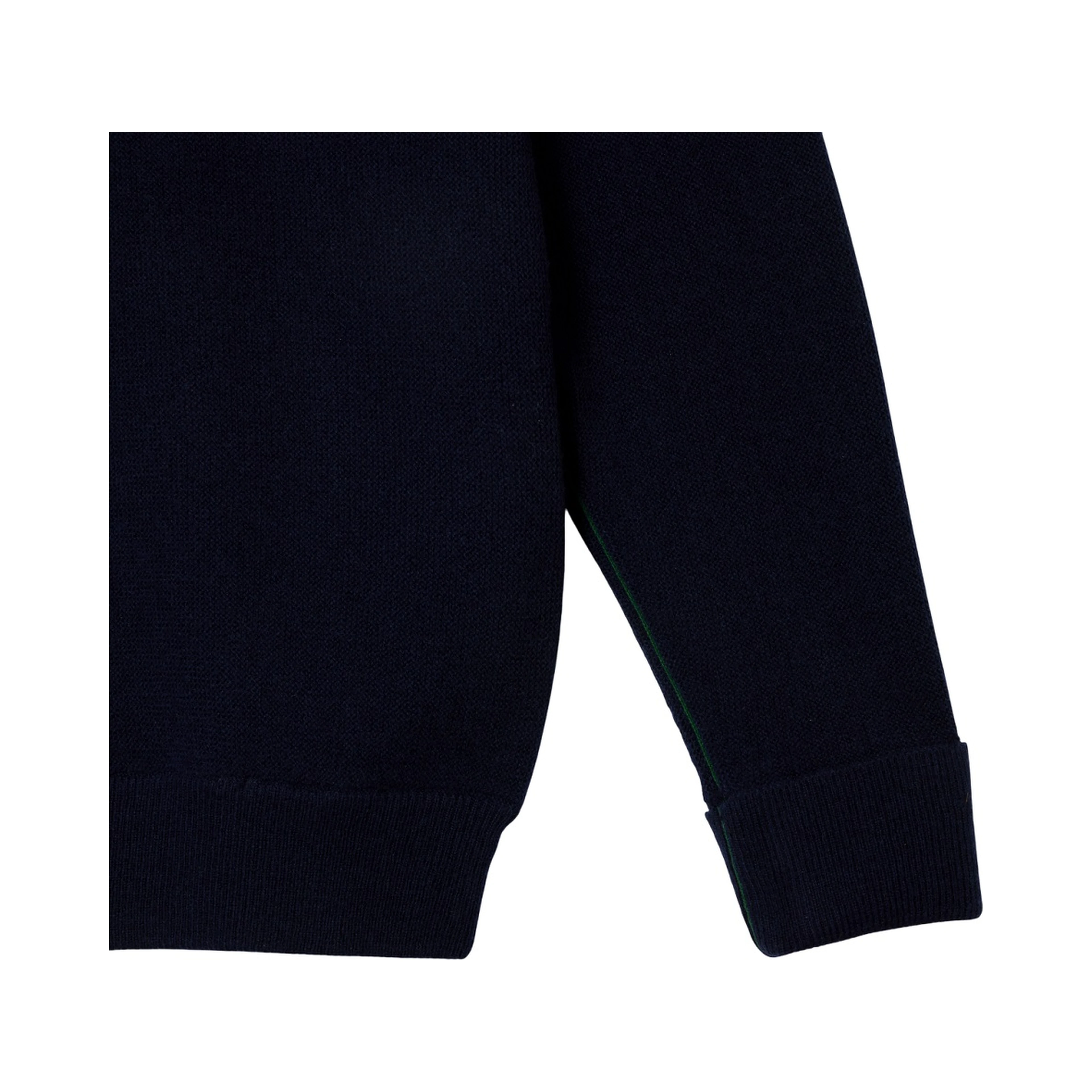 Lacoste Sweaters Blue