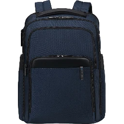 SAMSONITE Bags.. Blue