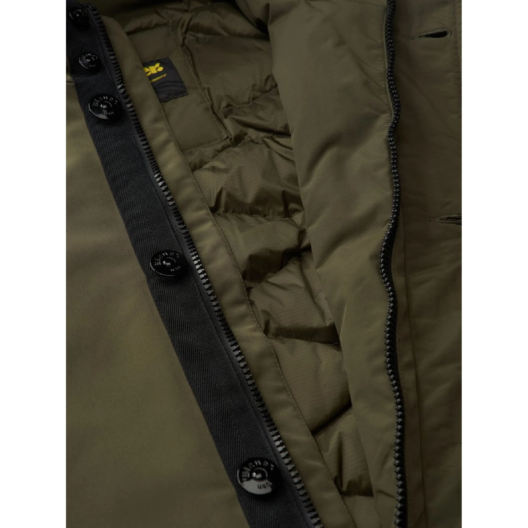 Blauer Coats Green