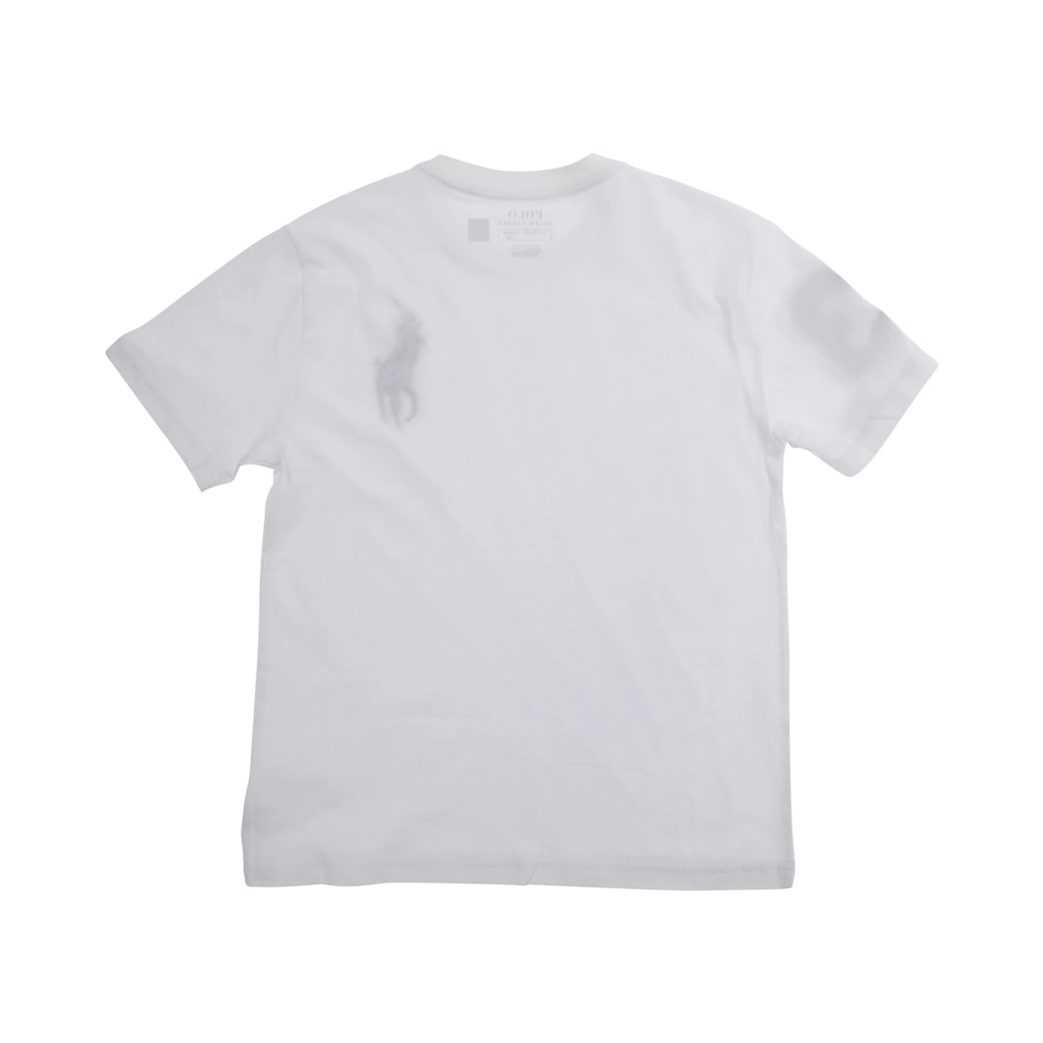 White Crewneck T-Shirt with Pony Embroidery on the Front in Cotton Boy