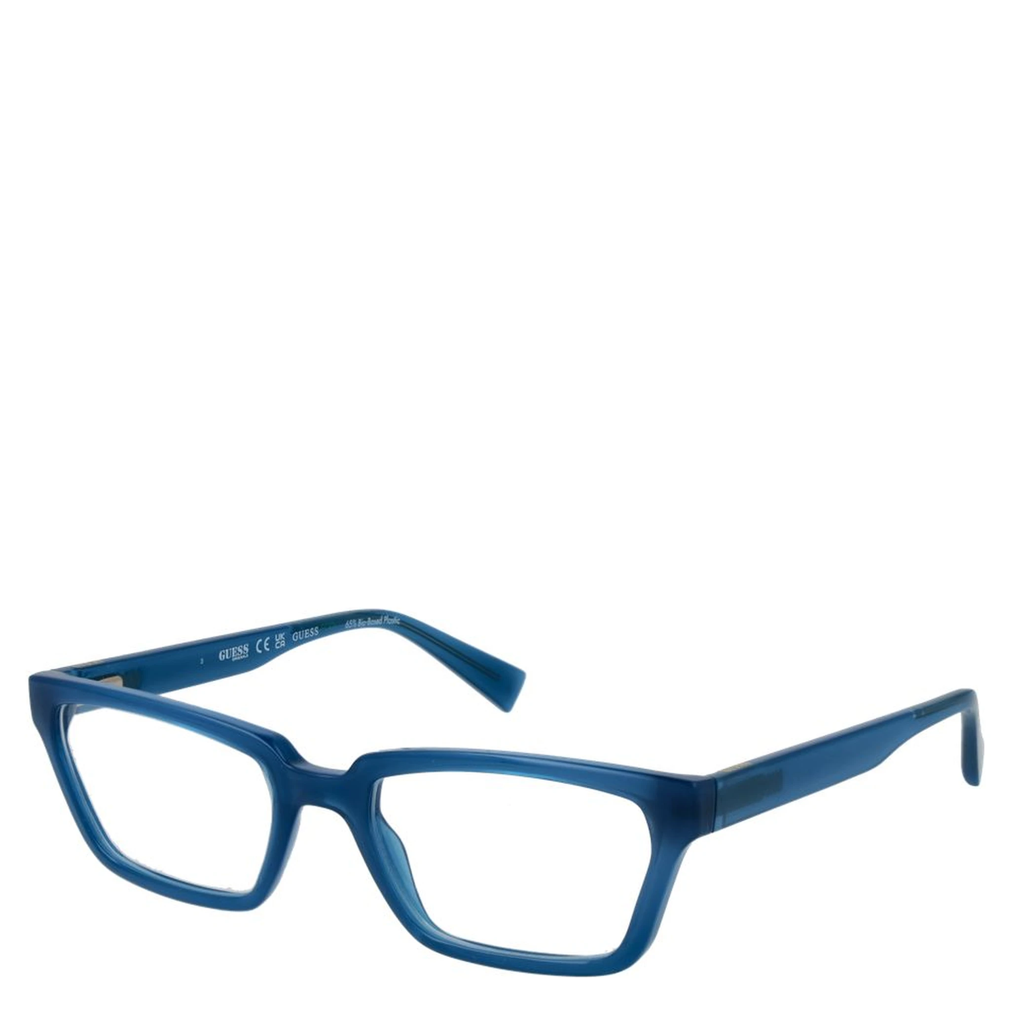 Blue Plastic Glasses (Frames)