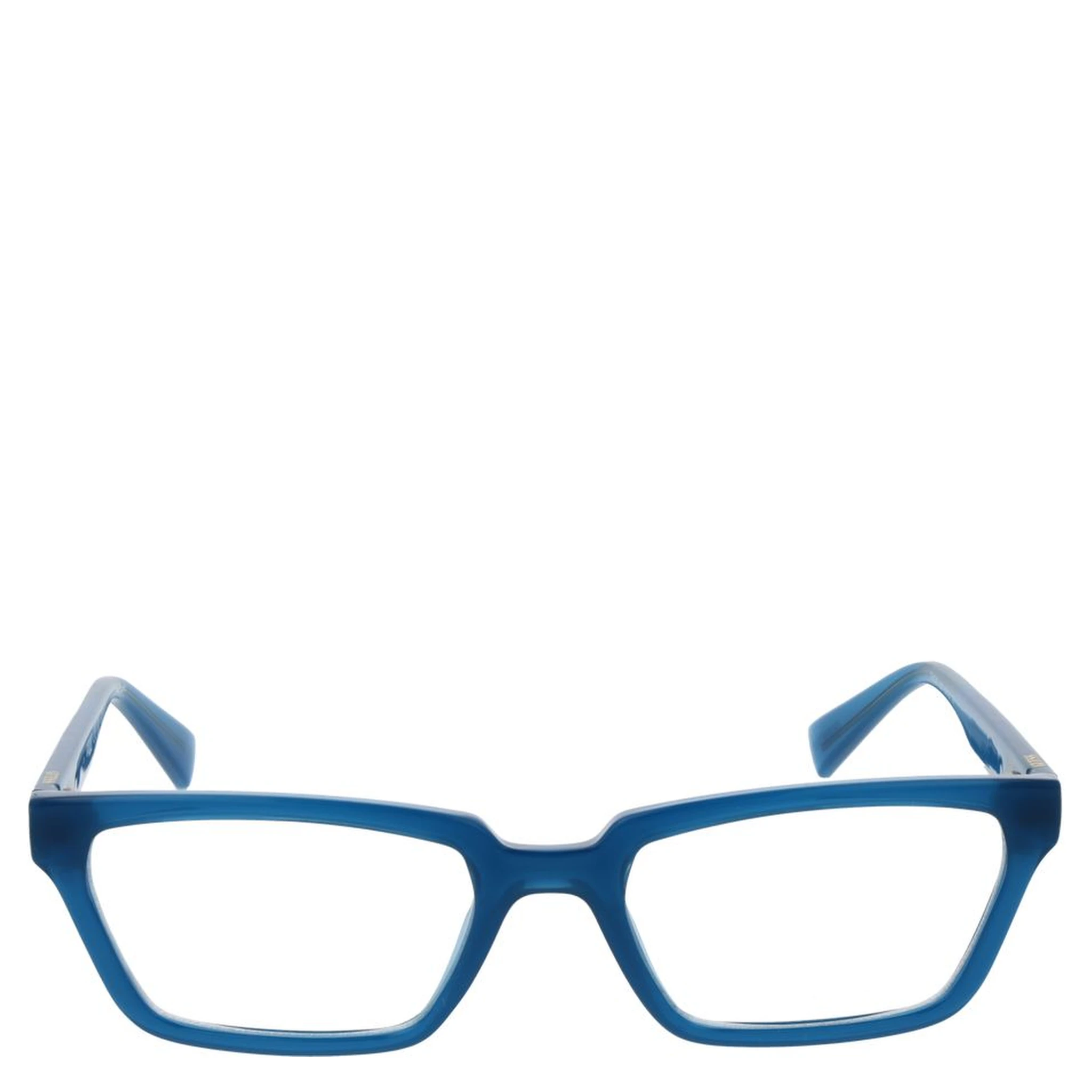 Blue Plastic Glasses (Frames)