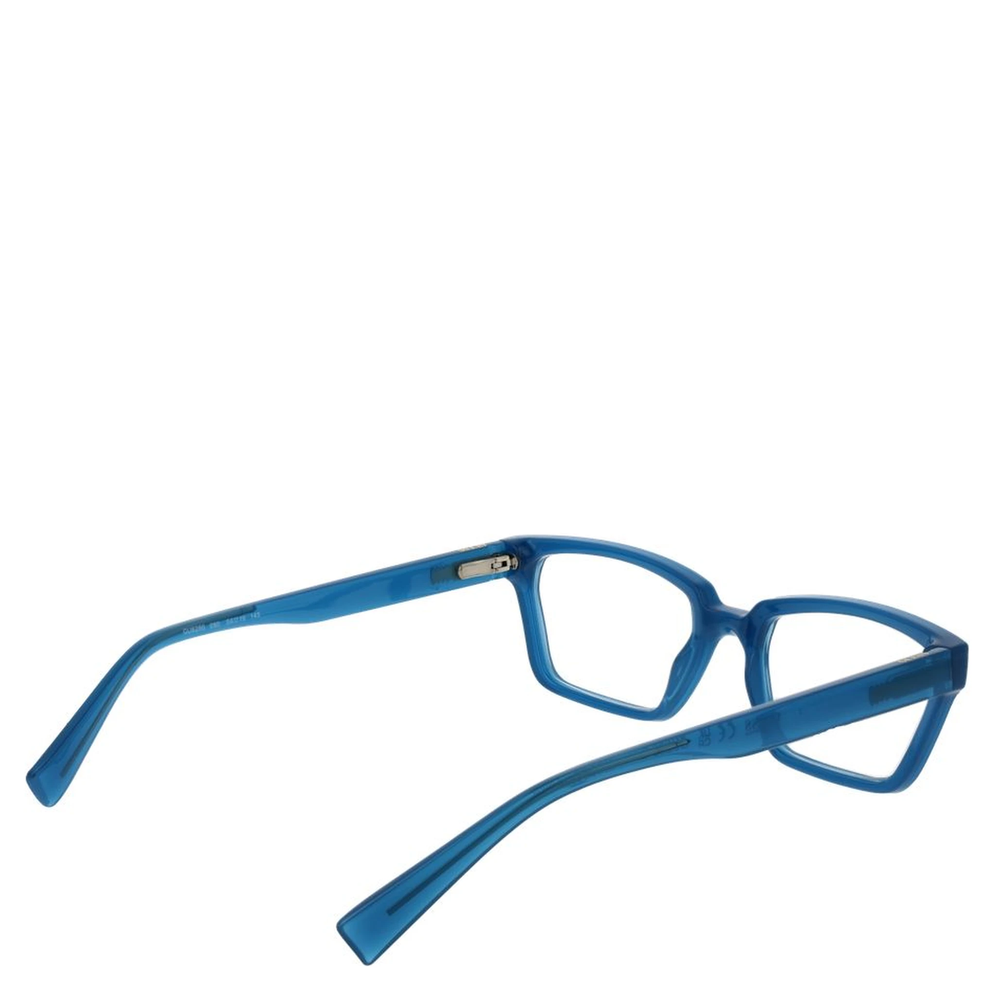 Blue Plastic Glasses (Frames)