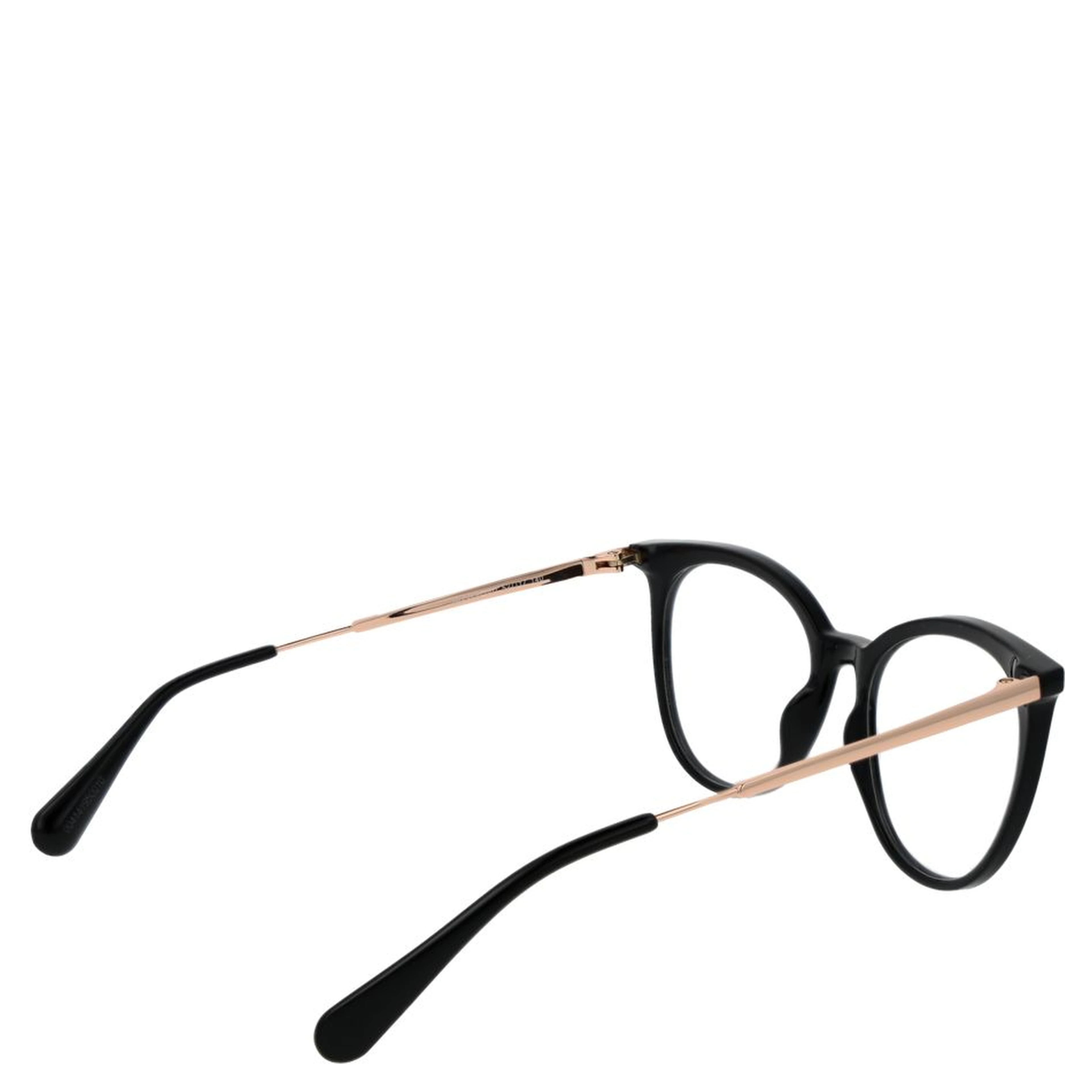 Black Plastic Glasses (Frames)