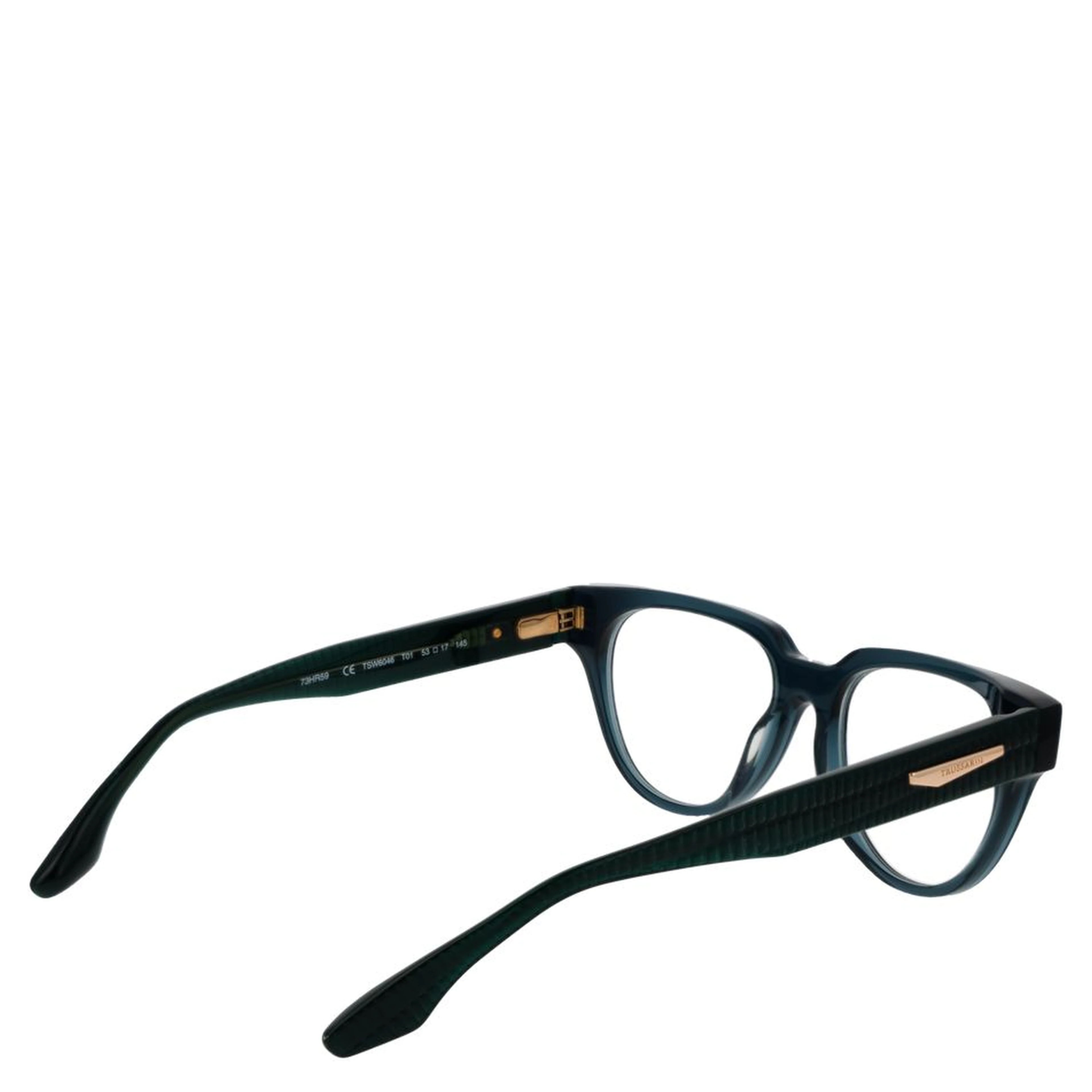 Blue Acetate Glasses (Frames)