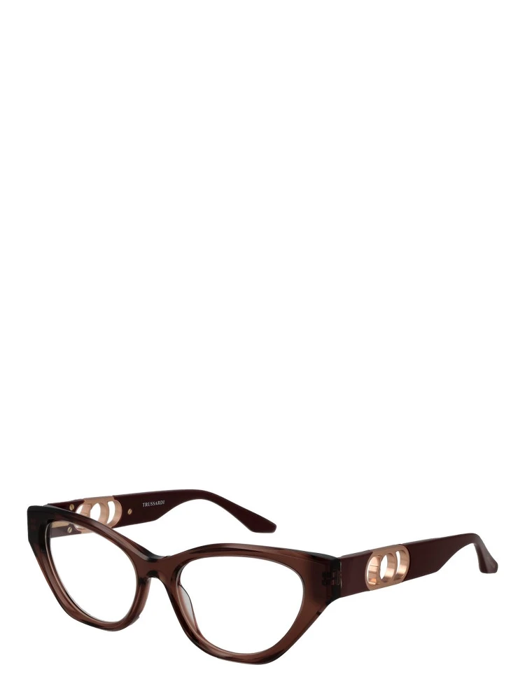 Brown Acetate Glasses (Frames)