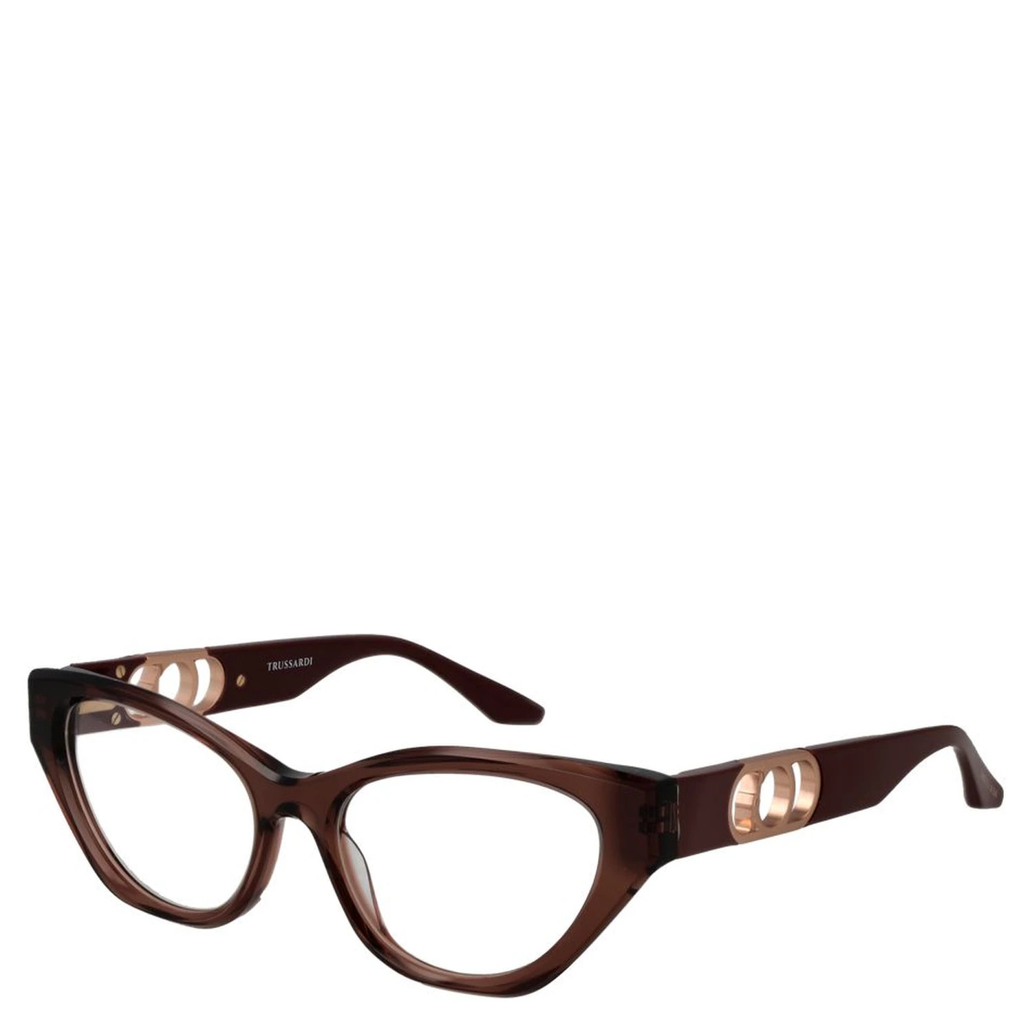 Brown Acetate Glasses (Frames)