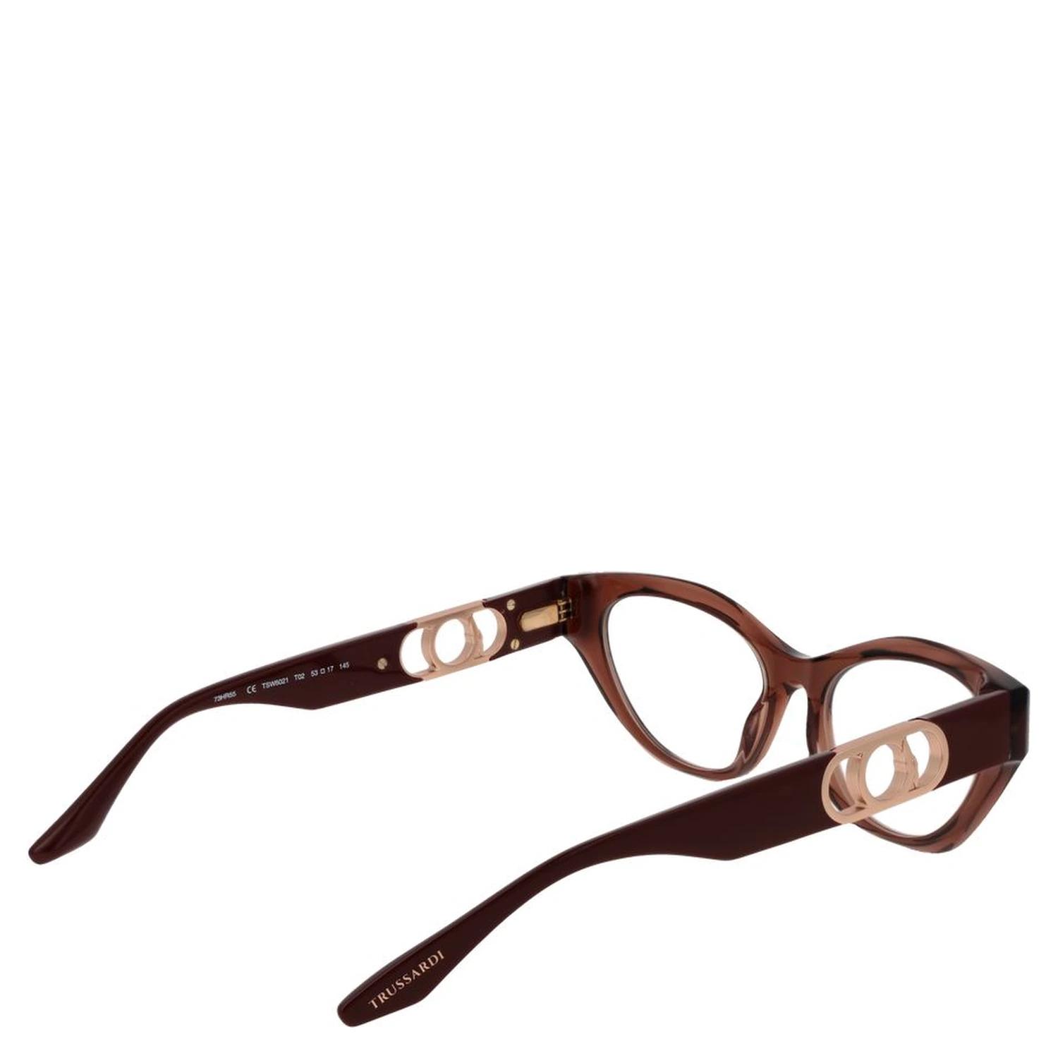 Brown Acetate Glasses (Frames)