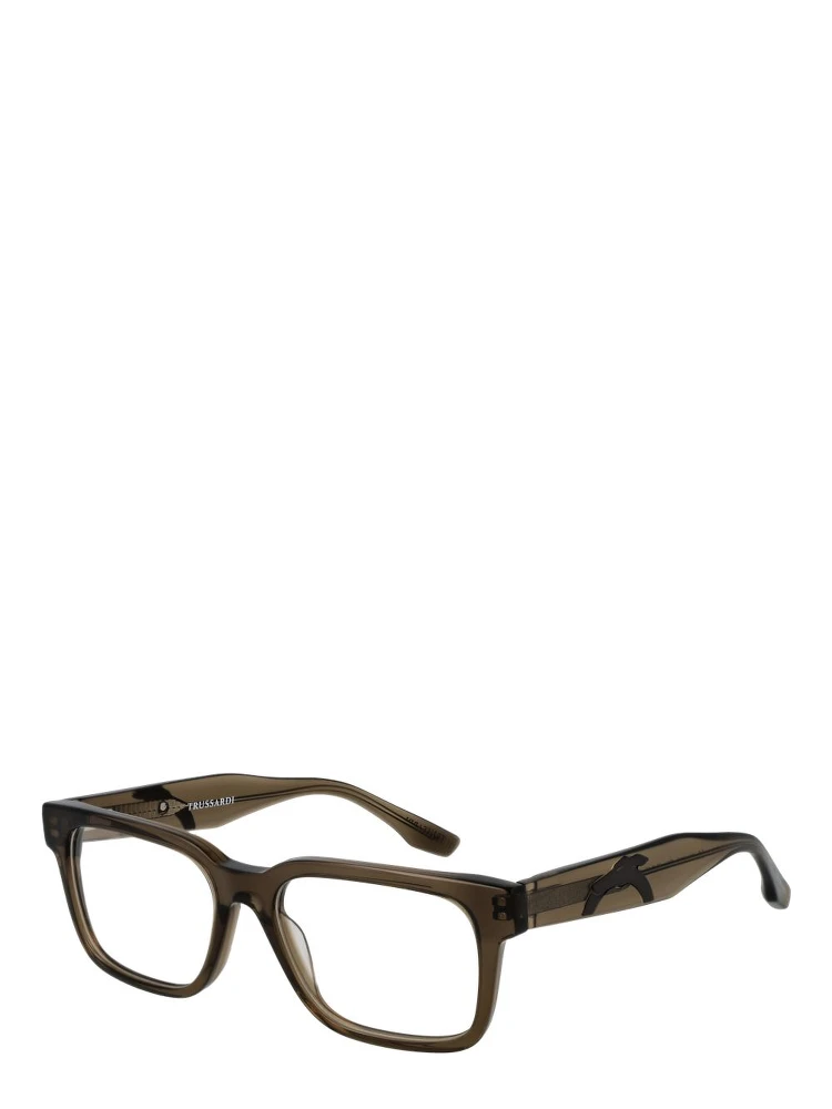 Brown Acetate Glasses (Frames)