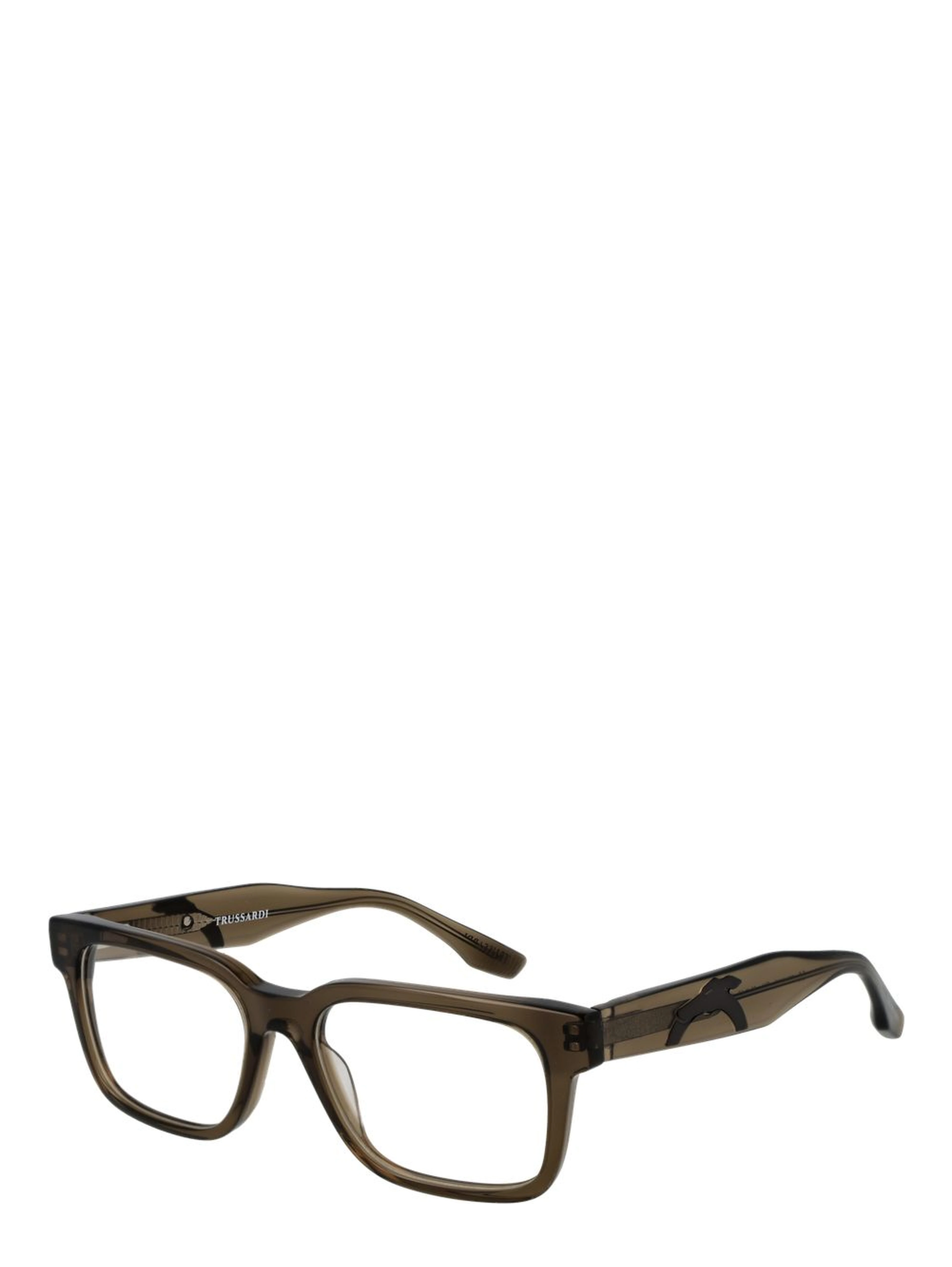Brown Acetate Glasses (Frames)