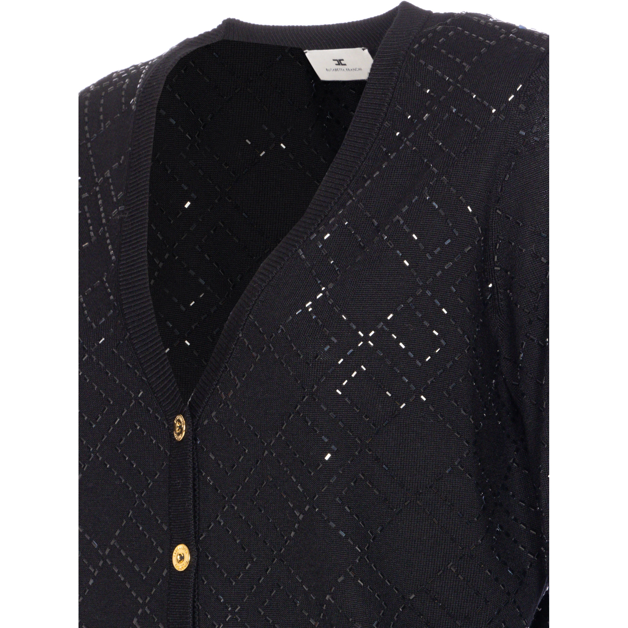 Elisabetta Franchi Sweaters Black
