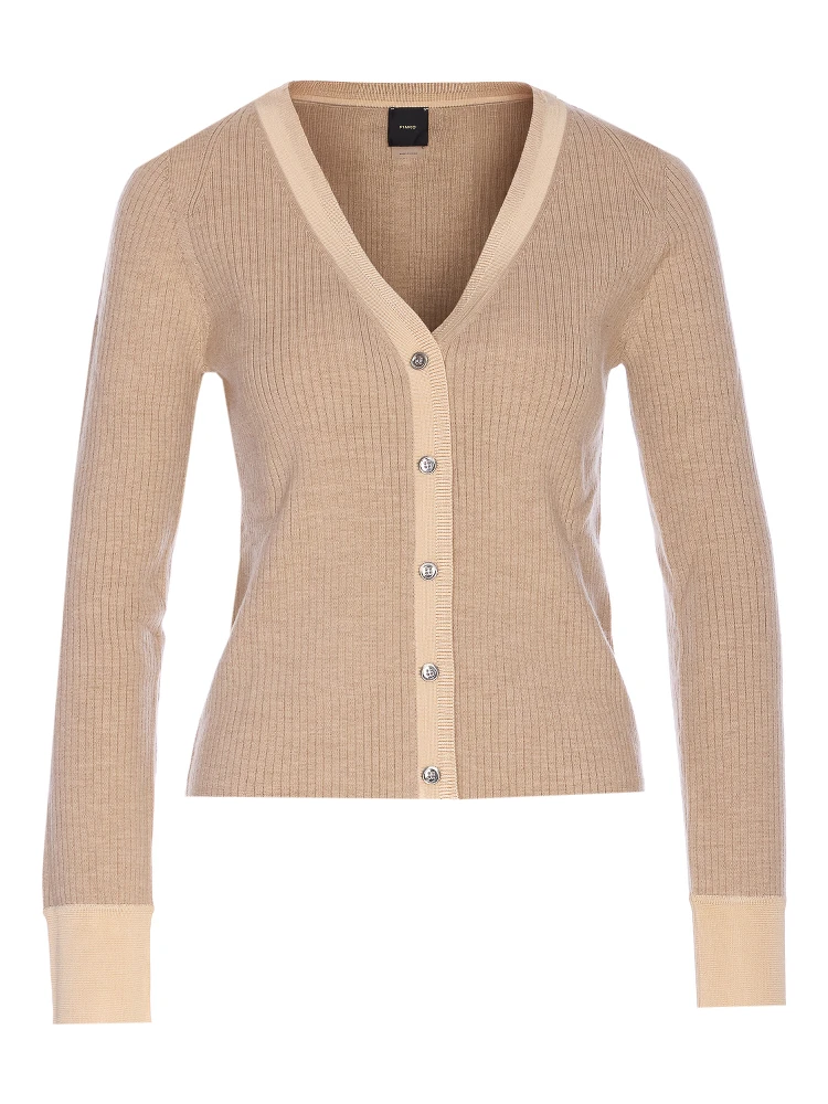 Pinko Sweaters Beige