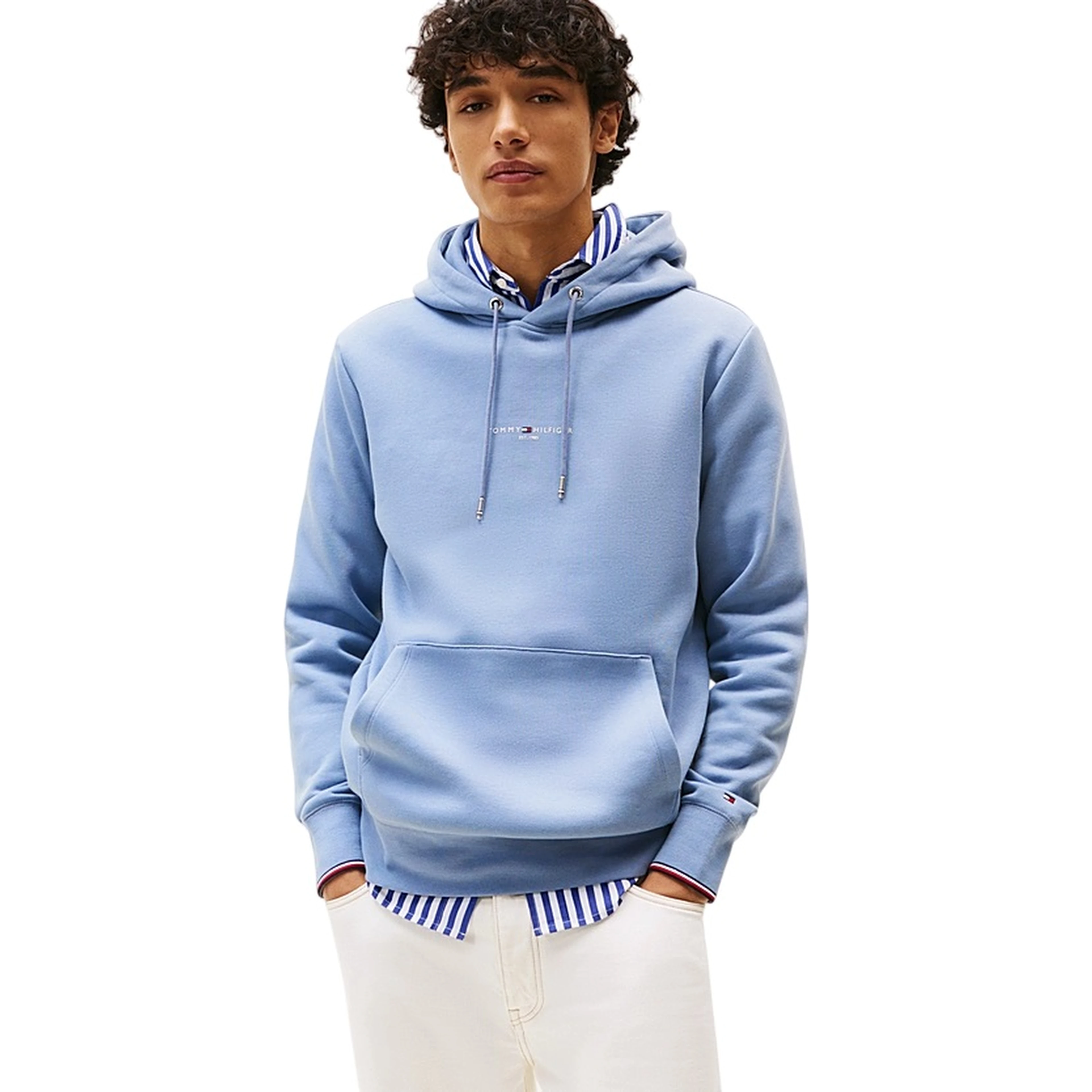 Tommy Hilfiger Sweaters Clear Blue