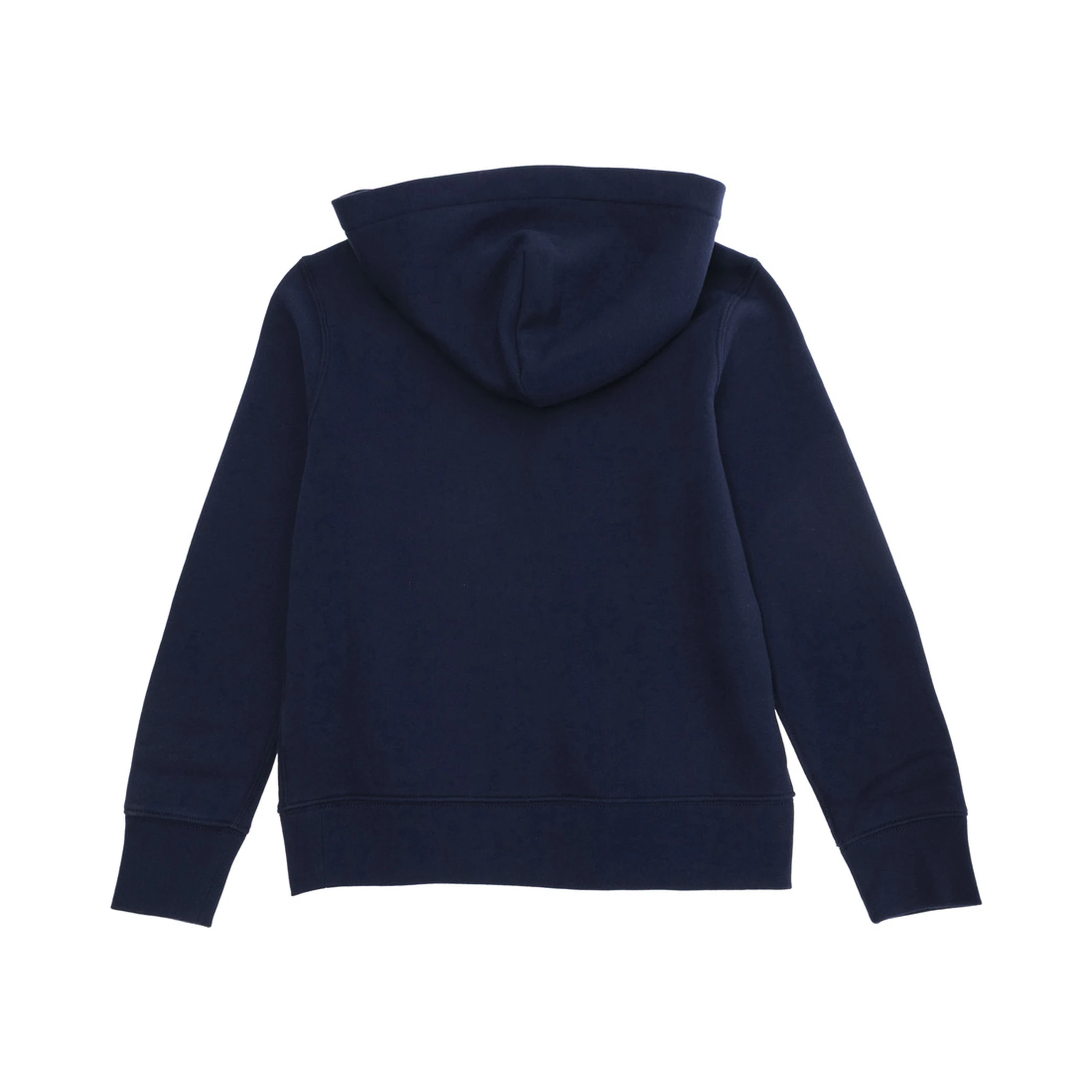 Blue Hoodie with Fixed Hood and Pony Embroidery on the Front in Cotton Blend Boy