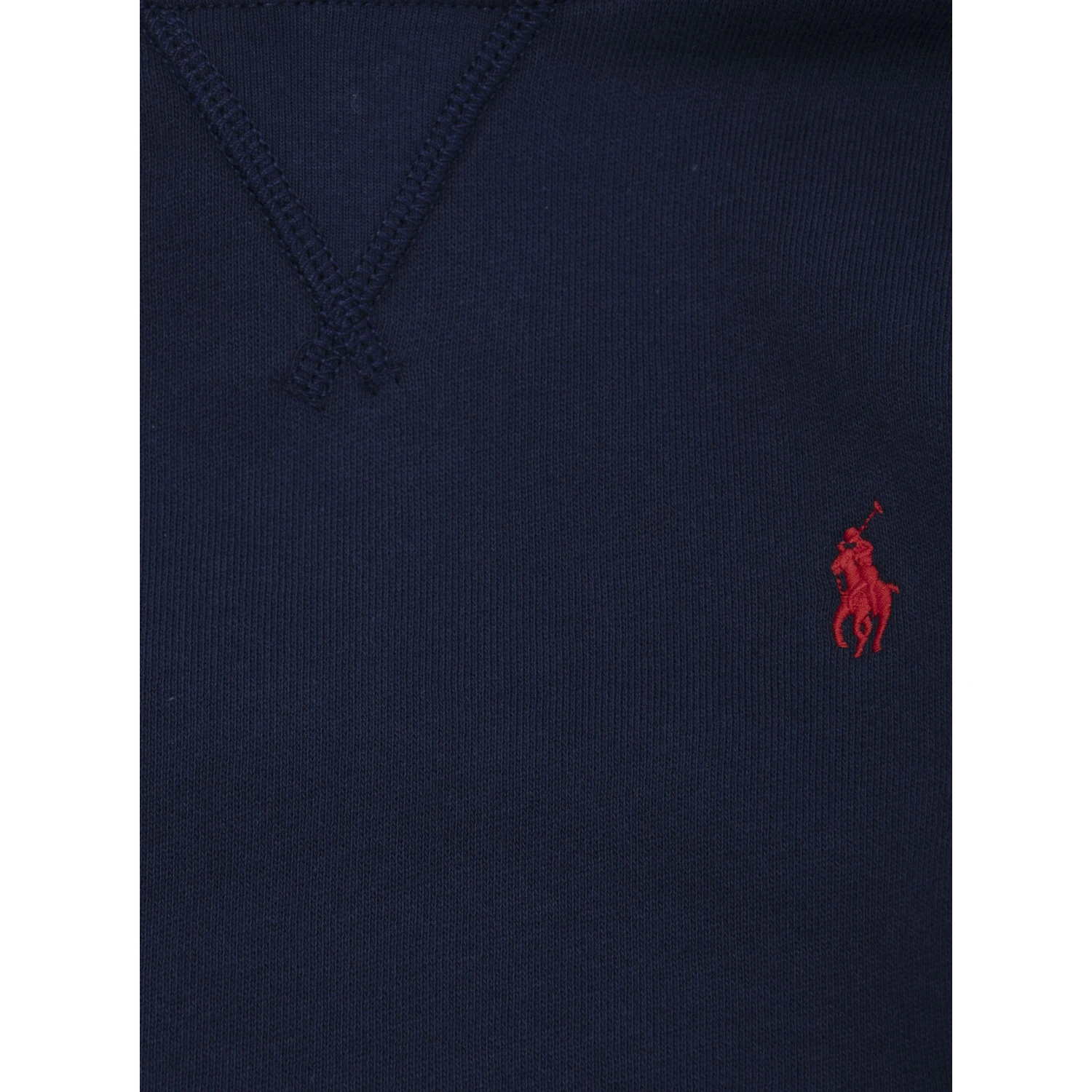 Blue Hoodie with Fixed Hood and Pony Embroidery on the Front in Cotton Blend Boy