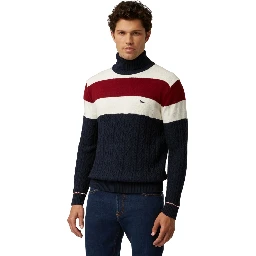 Men's striped turtleneck sweater