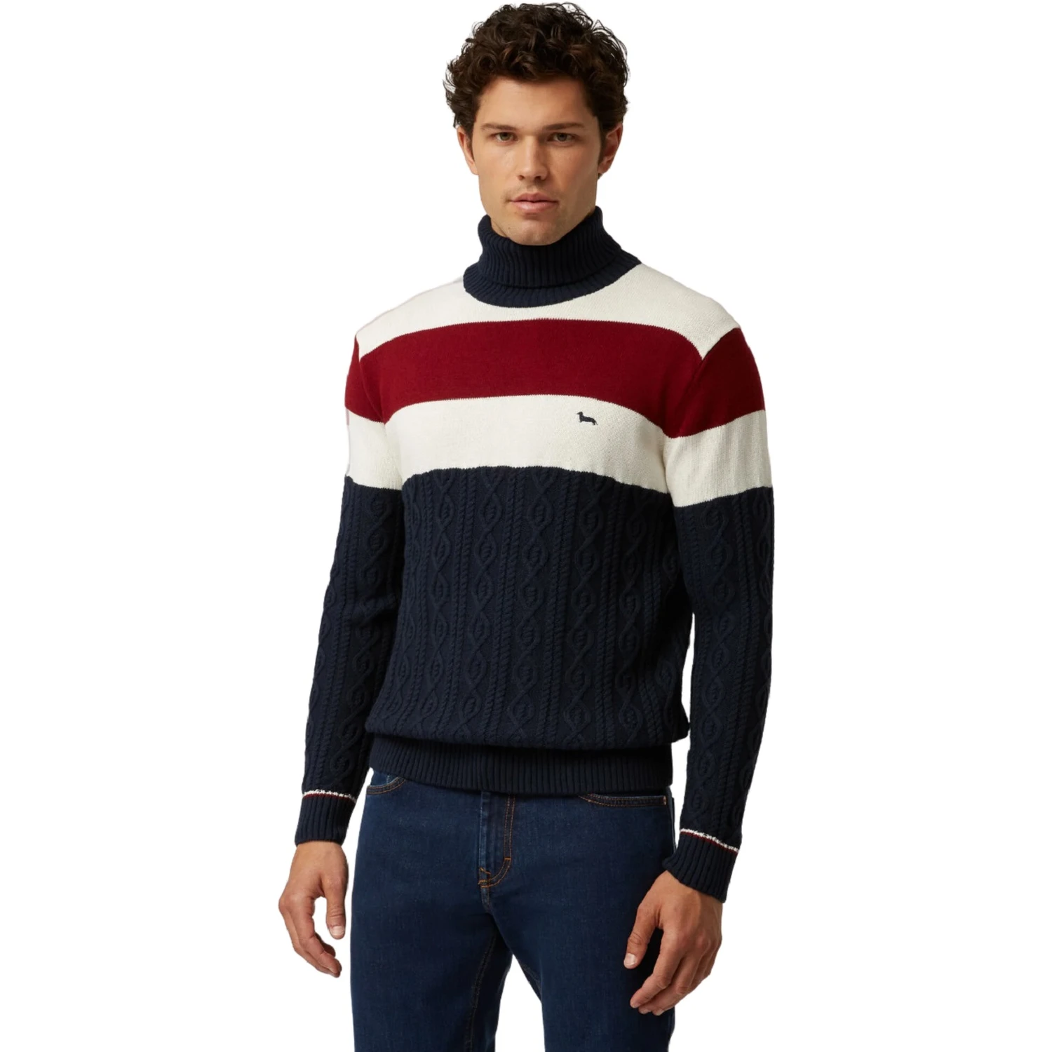 Men's striped turtleneck sweater