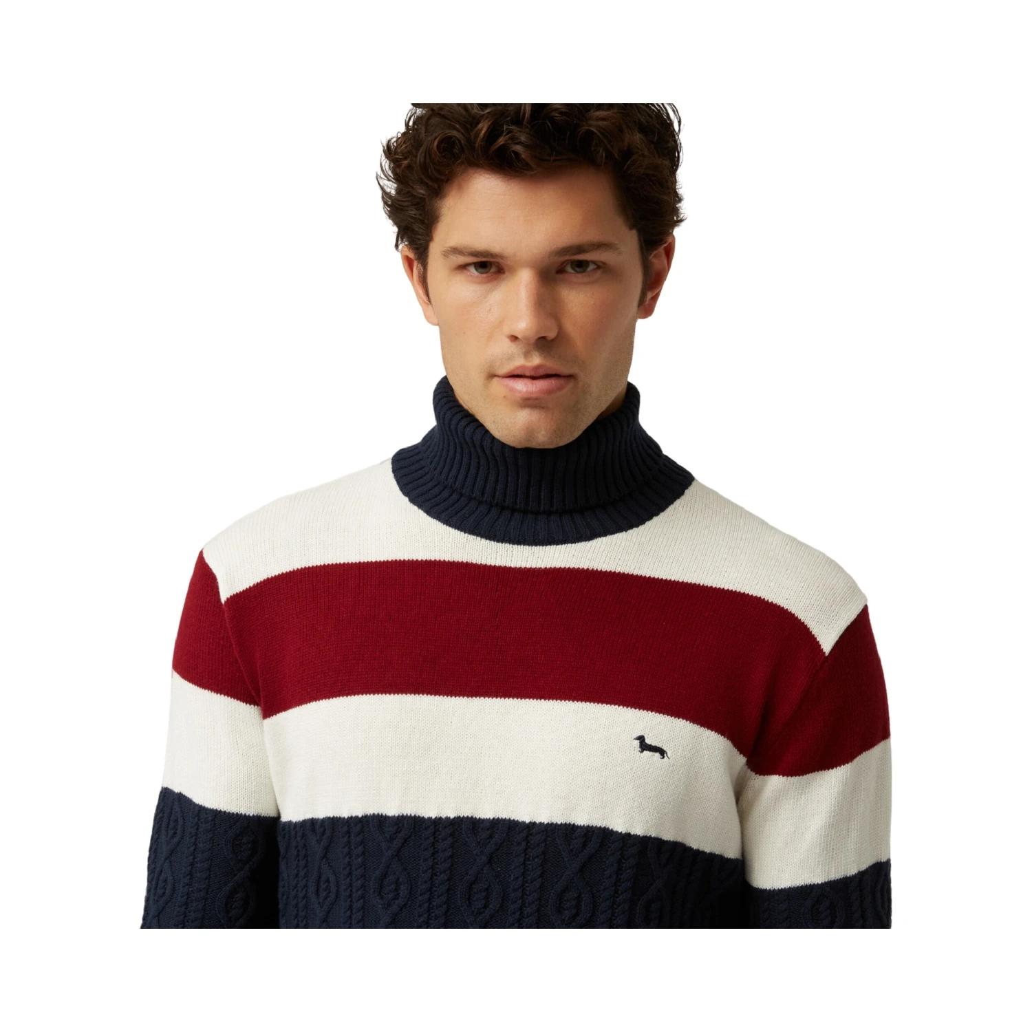 Men's striped turtleneck sweater