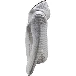 Save The Duck Coats White