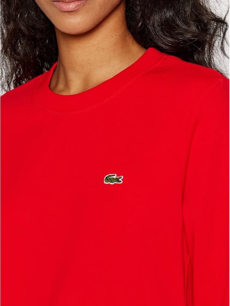 Lacoste Sweaters Red alternative