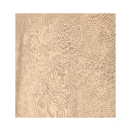 ADIDAS X SONG FOR THE MUTE T-shirts and Polos Beige