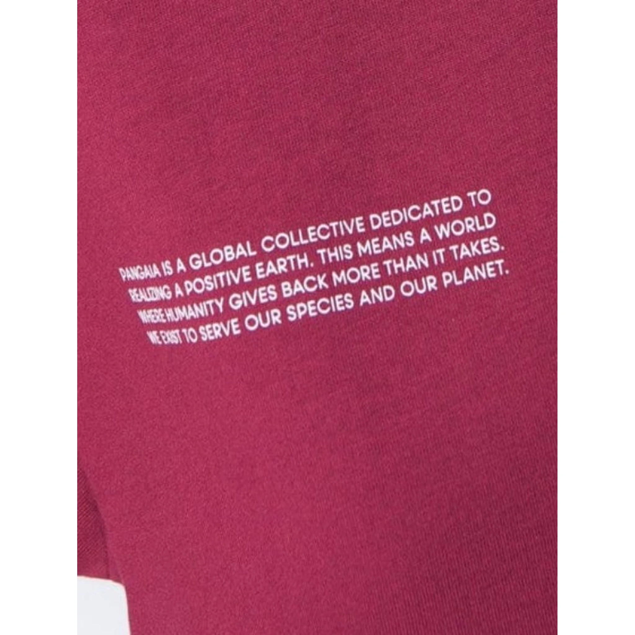 PANGAIA T-shirts and Polos