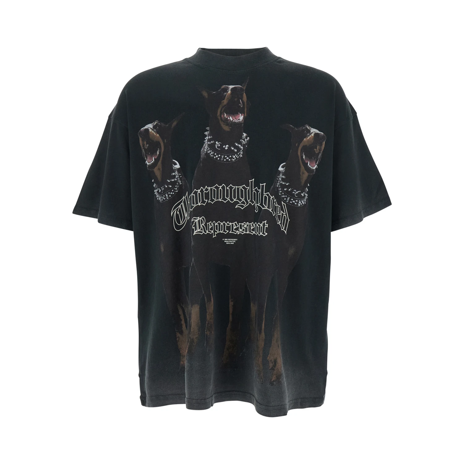 Thoroughbred Black T-Shirt with Doberman Graphic Print and Logo Lettering on the Front in Cotton Man