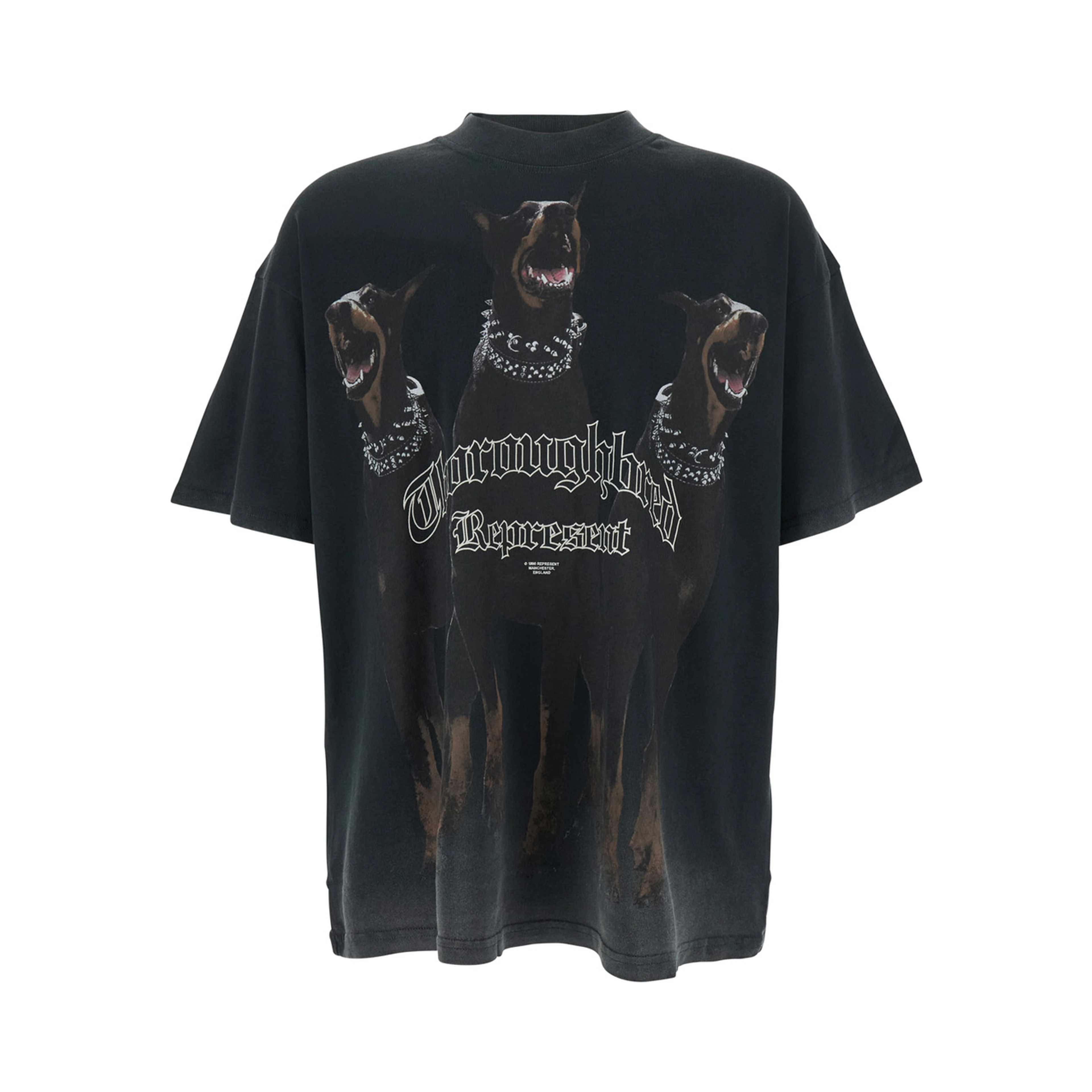 Thoroughbred Black T-Shirt with Doberman Graphic Print and Logo Lettering on the Front in Cotton Man