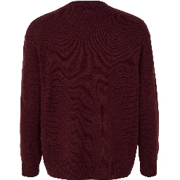 "Fido" crewneck sweater in wool and cashmere