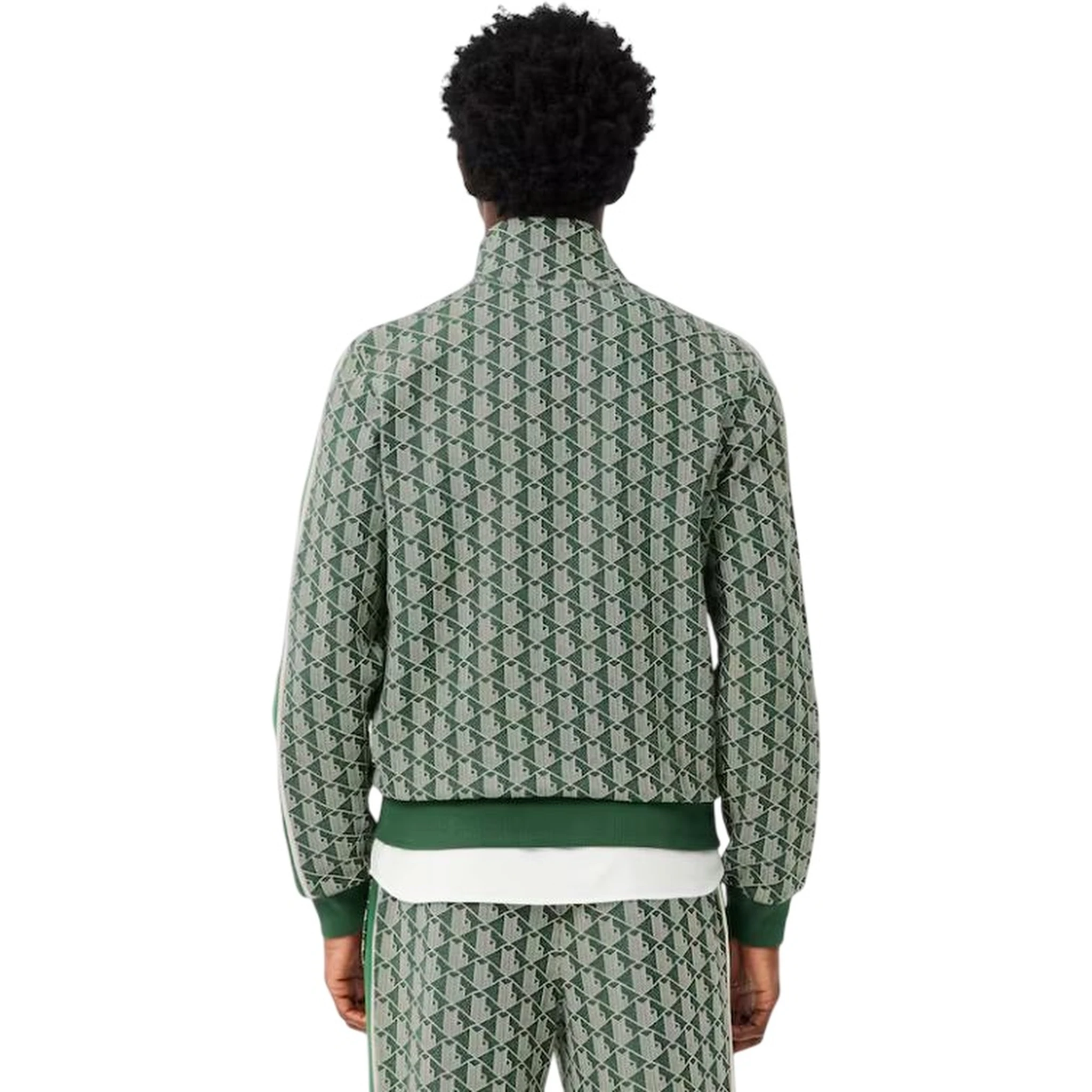 Lacoste Sweaters Green