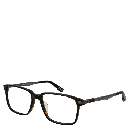 Brown Plastic Glasses (Frames)