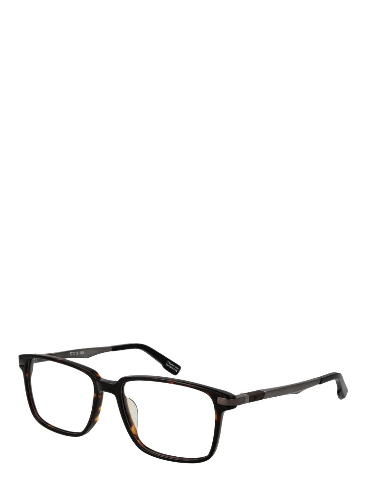 Brown Plastic Glasses (Frames)