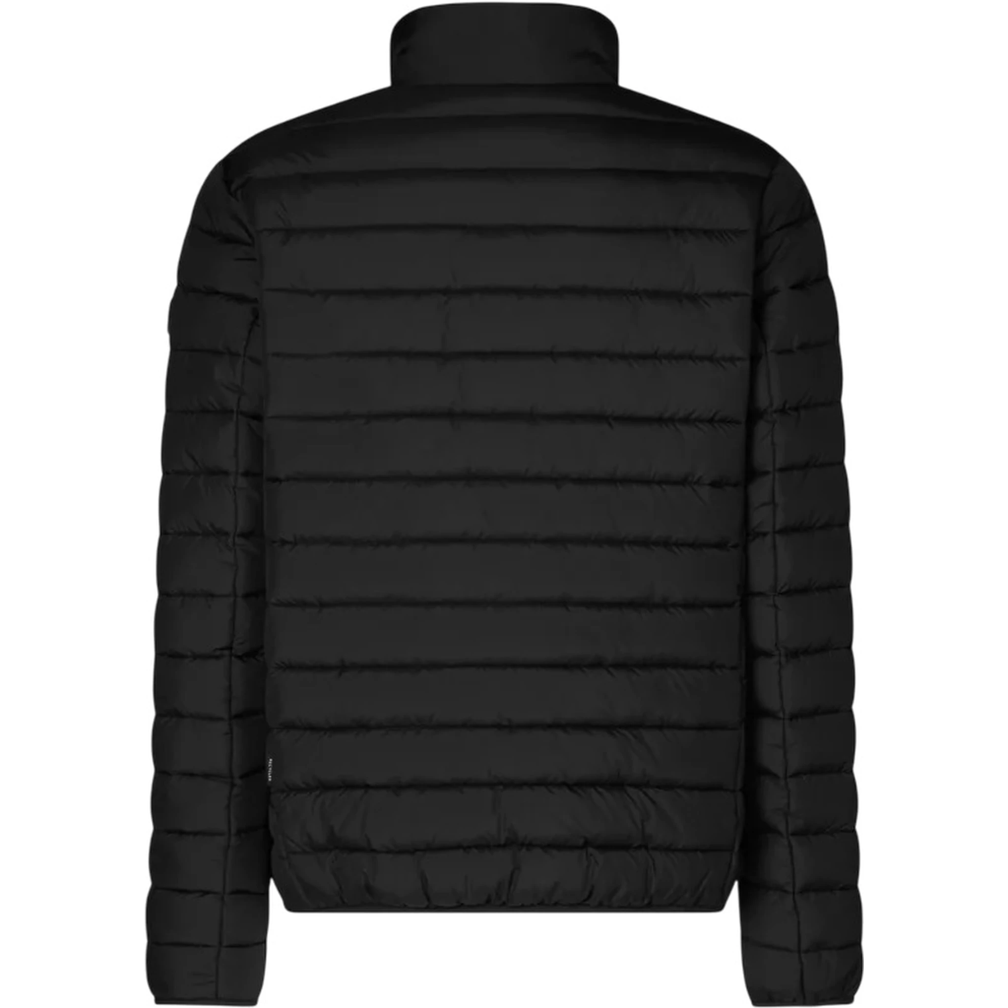 أنقذوا البطة، معاطف سوداء