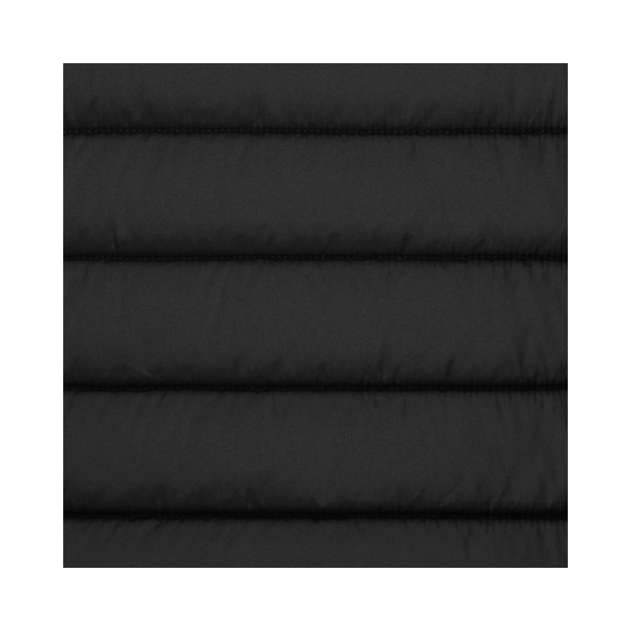 أنقذوا البطة، معاطف سوداء