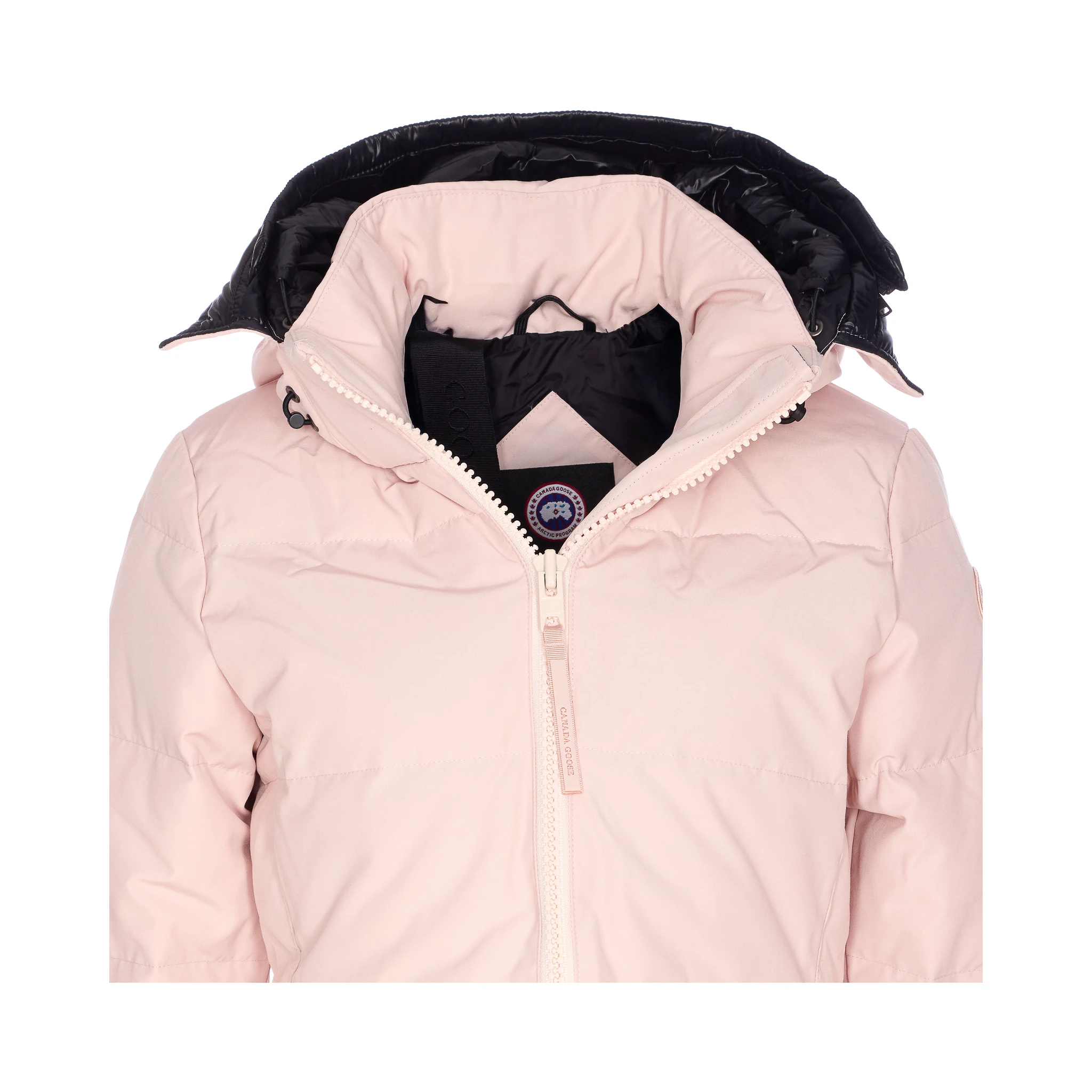 Canada Goose Coats Pink