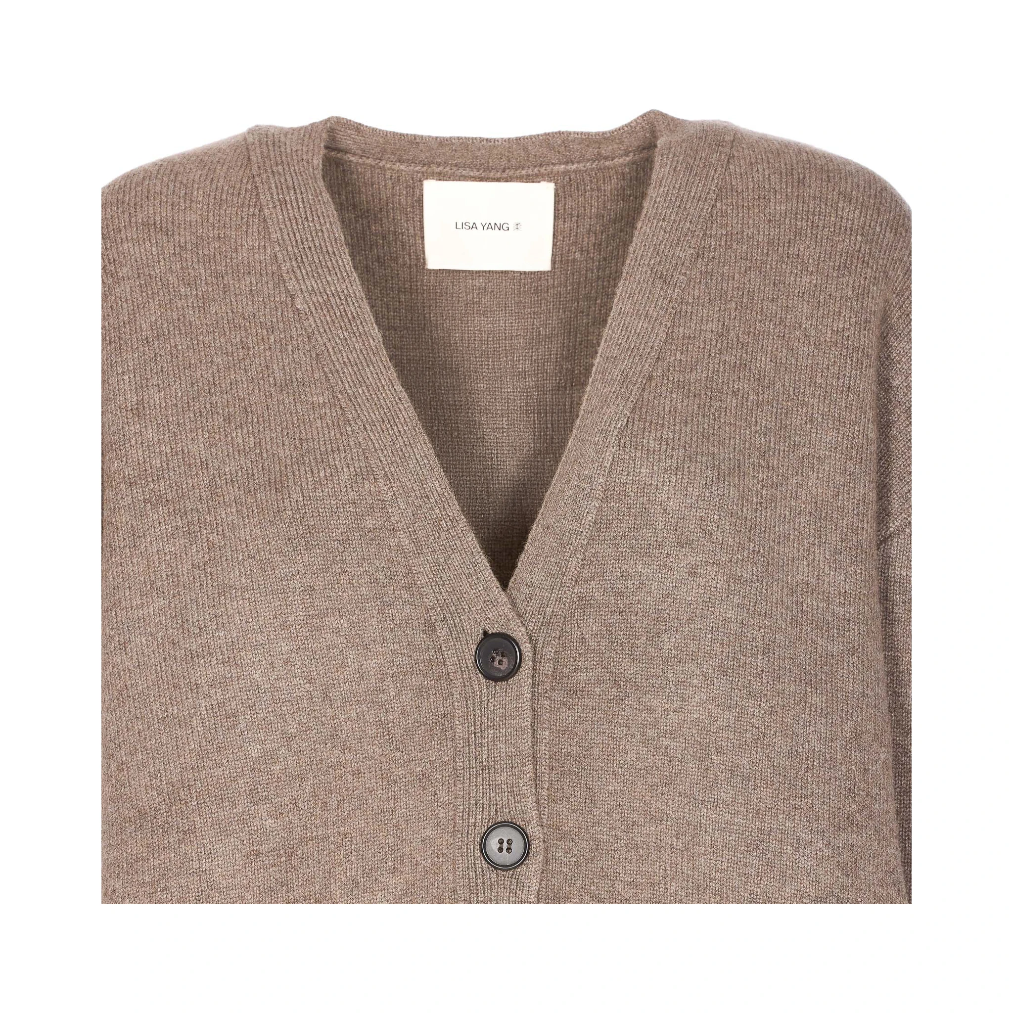 LISA YANG Sweaters Brown