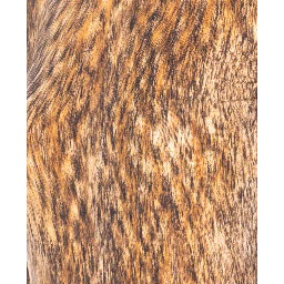 MM6 Maison Margiela Top Brown