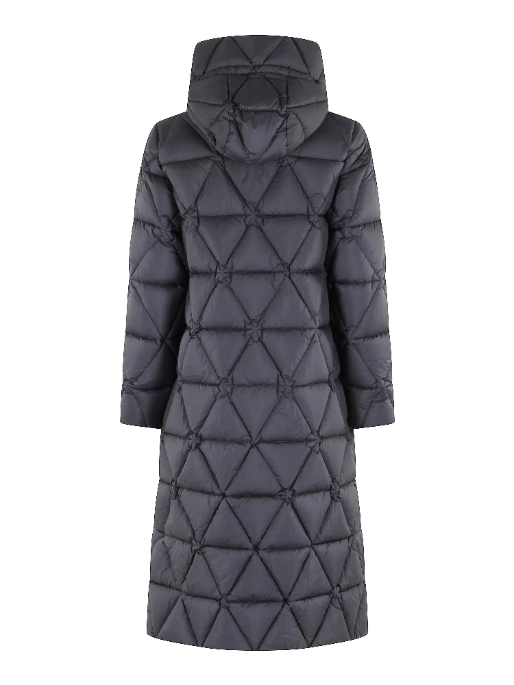 K7136JW|097 alternative