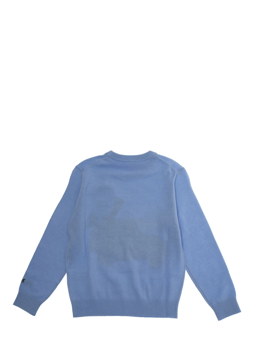Light Blue Crewneck Sweater with Maxi Embroidery on the Front and Logo Lettering on the Sleeve in Wool Blend Boy