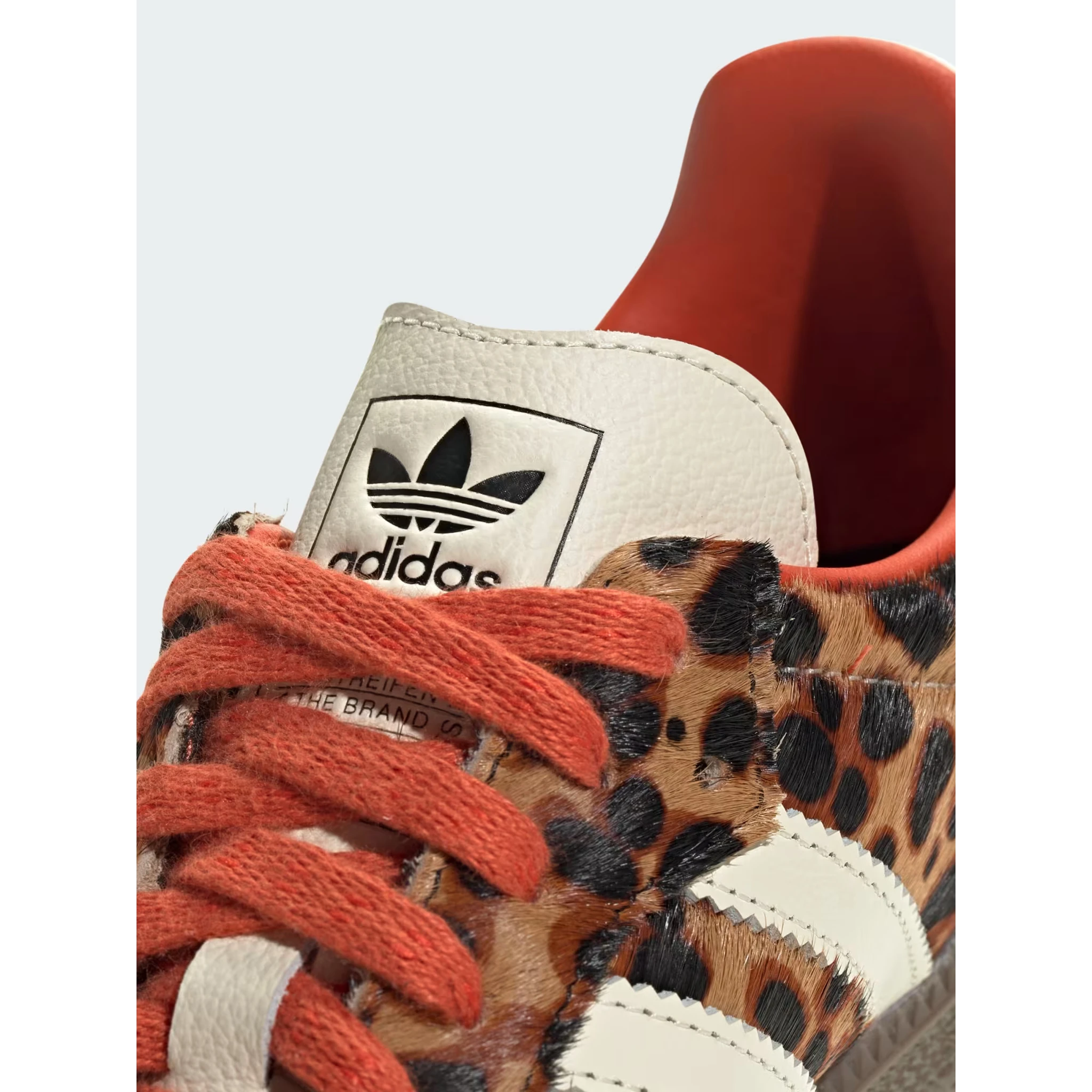 حذاء رياضي بني من أديداس