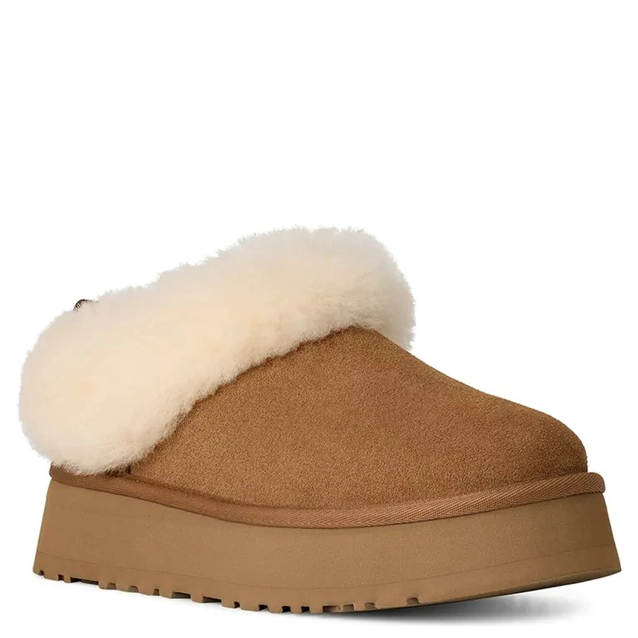 "Tazzelle" ankle boots