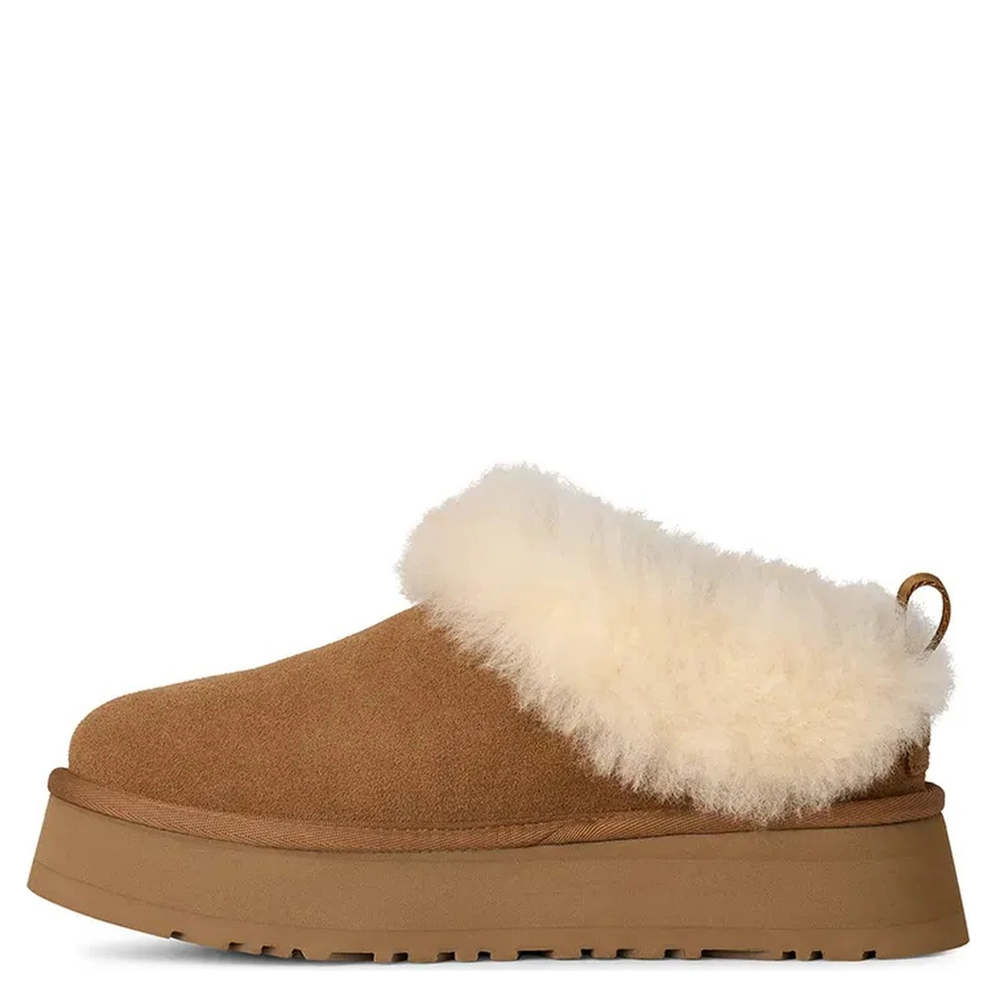 "Tazzelle" ankle boots