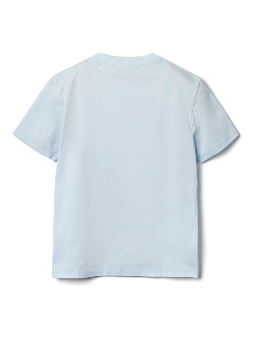 Lanvin T-shirts and Polos