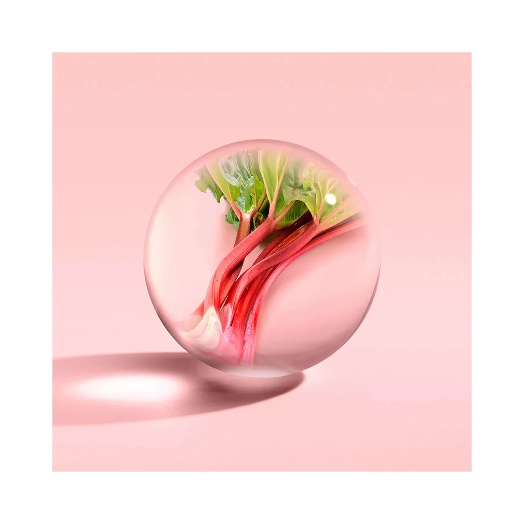 MOLTON BROWN Accessories