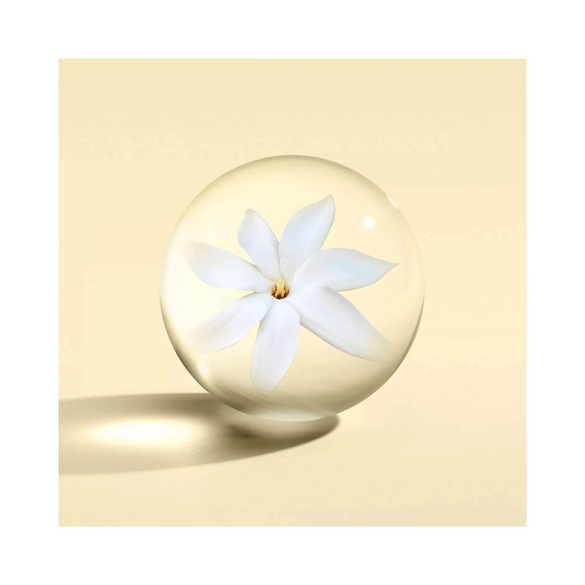 MOLTON BROWN Lifestyle