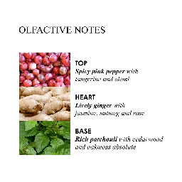 MOLTON BROWN Lifestyle