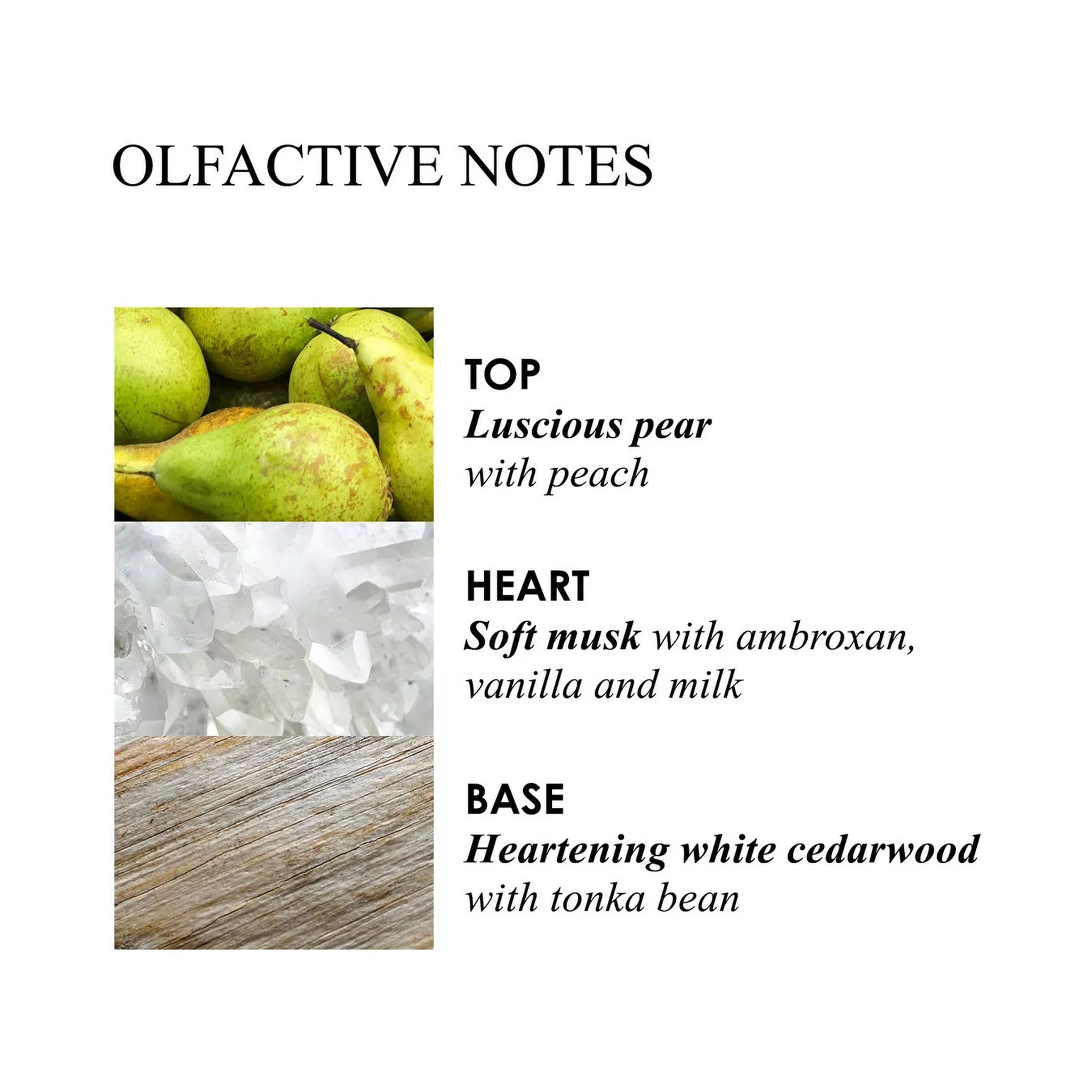 MOLTON BROWN Lifestyle