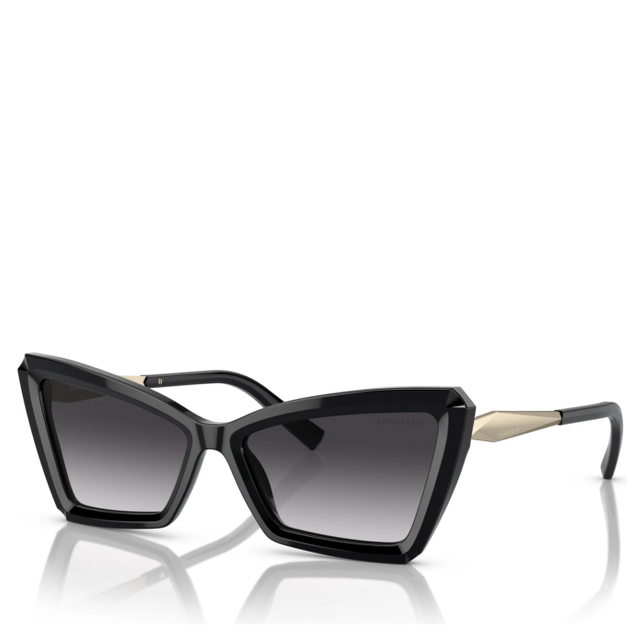 TIFFANY & CO. Sunglasses Black
