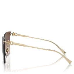 TIFFANY & CO. Sunglasses